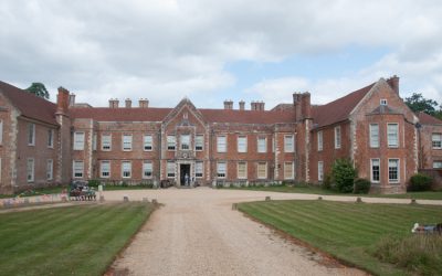 THE VYNE